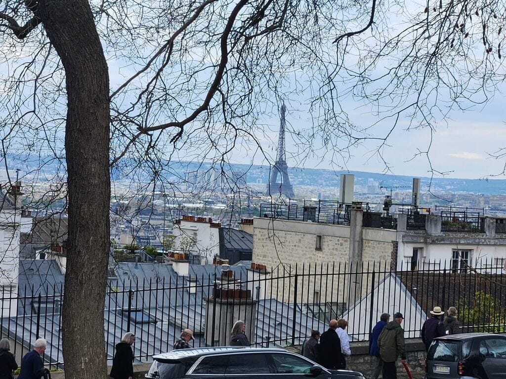 the eiffel tower from afar